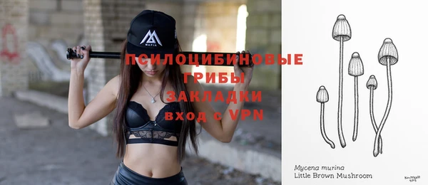 МДПВ Богородск