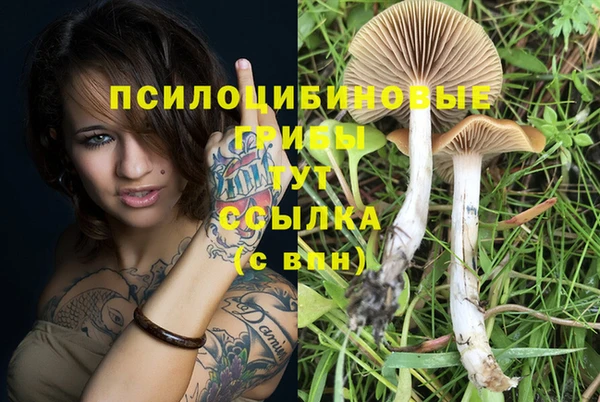 винт Богородицк