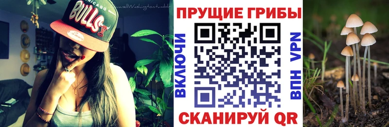 Галлюциногенные грибы ЛСД  Купить где  Ясный 